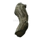 Stam groot nr. 4