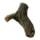 Stam met zijtak nr. 12