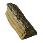 Stam gekloofd nr. 16